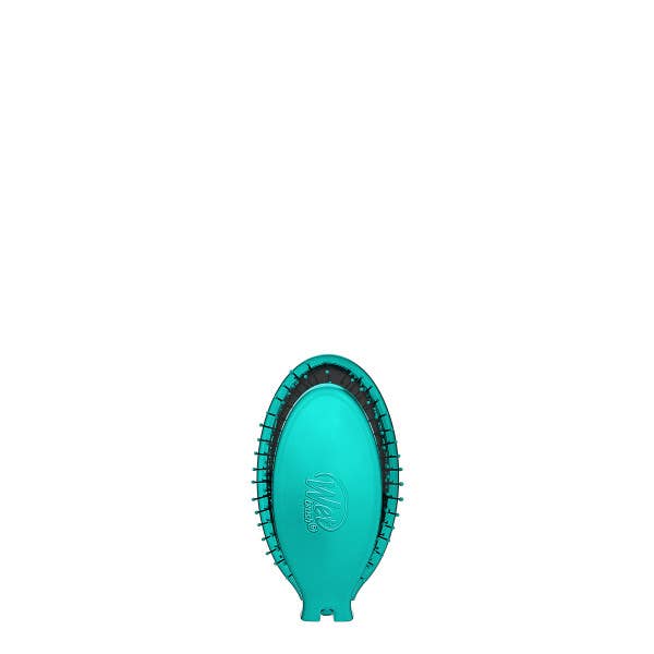 Wet Brush Pop and Go Detangler - Teal