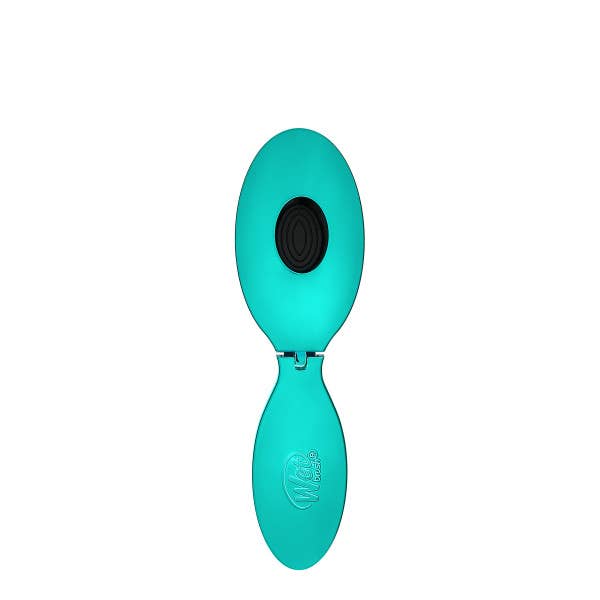 Wet Brush Pop and Go Detangler - Teal
